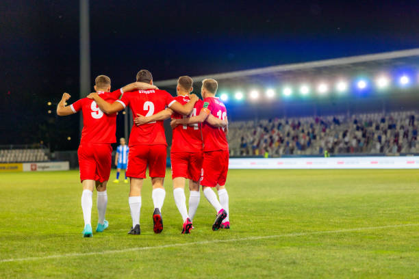 再次印证了 再次印证了